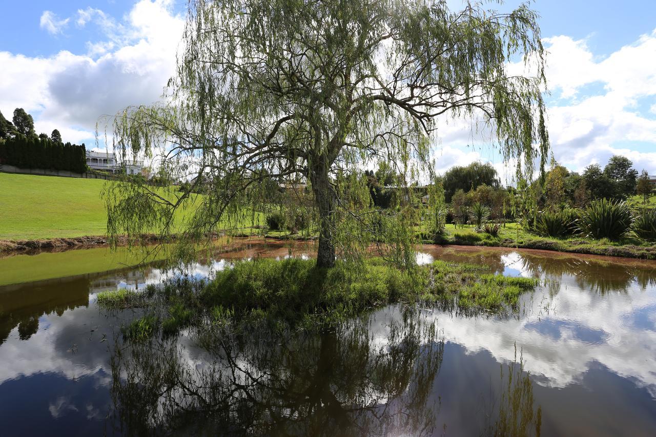 Maungakawa Villa เคมบริดจ์ ภายนอก รูปภาพ